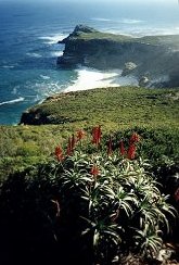 Cape Point